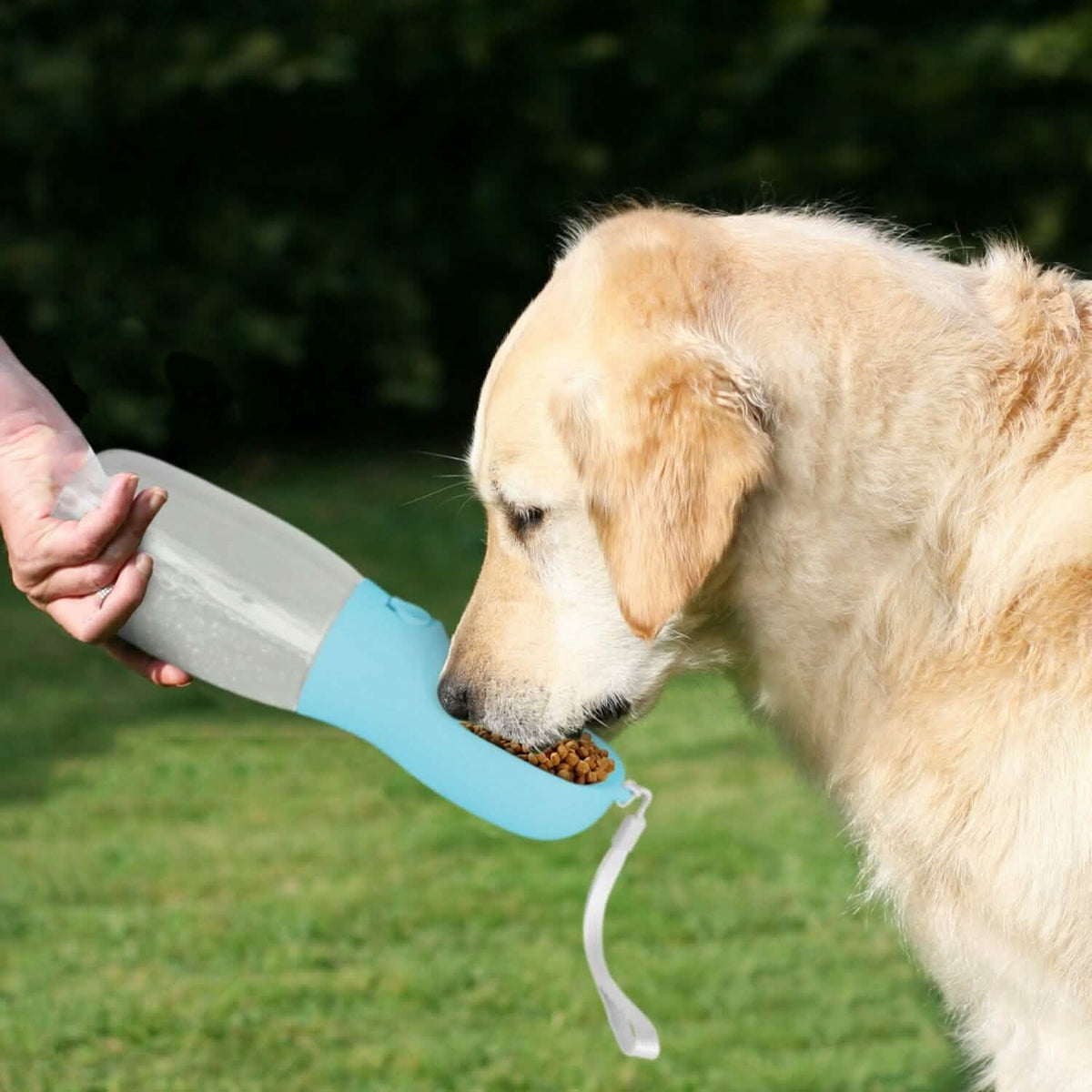 18.6 oz Portable Dog Water Dispenser with Detachable Food Container - A-1 Thread Vault