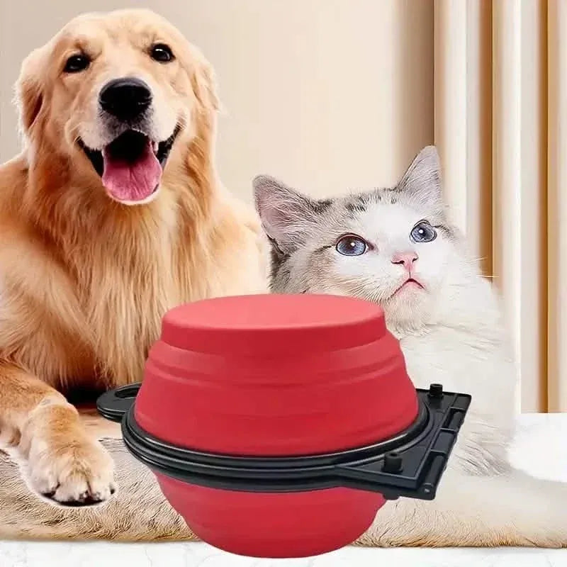 2-in-1 Collapsible Double Dog Bowl - A-1 Thread Vault