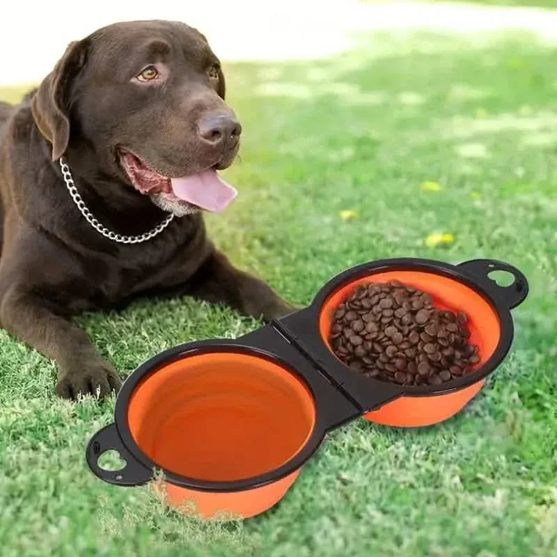 2-in-1 Collapsible Double Dog Bowl - A-1 Thread Vault