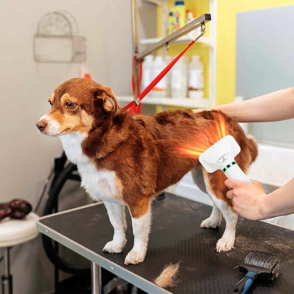2-in-1 Multifunctional Pet Grooming Hair Dryer - A-1 Thread Vault