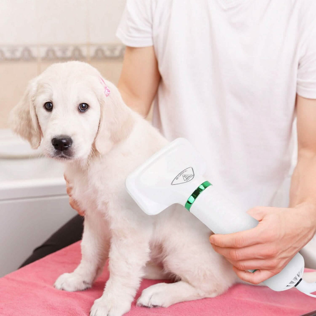 2-in-1 Multifunctional Pet Grooming Hair Dryer - A-1 Thread Vault