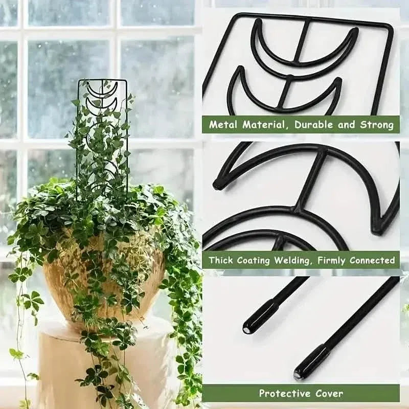 2-Pack: Metal Plant Trellis for Climbing Plants Indoor - A-1 Thread Vault