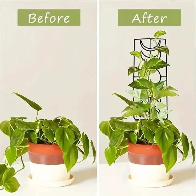 2-Pack: Metal Plant Trellis for Climbing Plants Indoor - A-1 Thread Vault