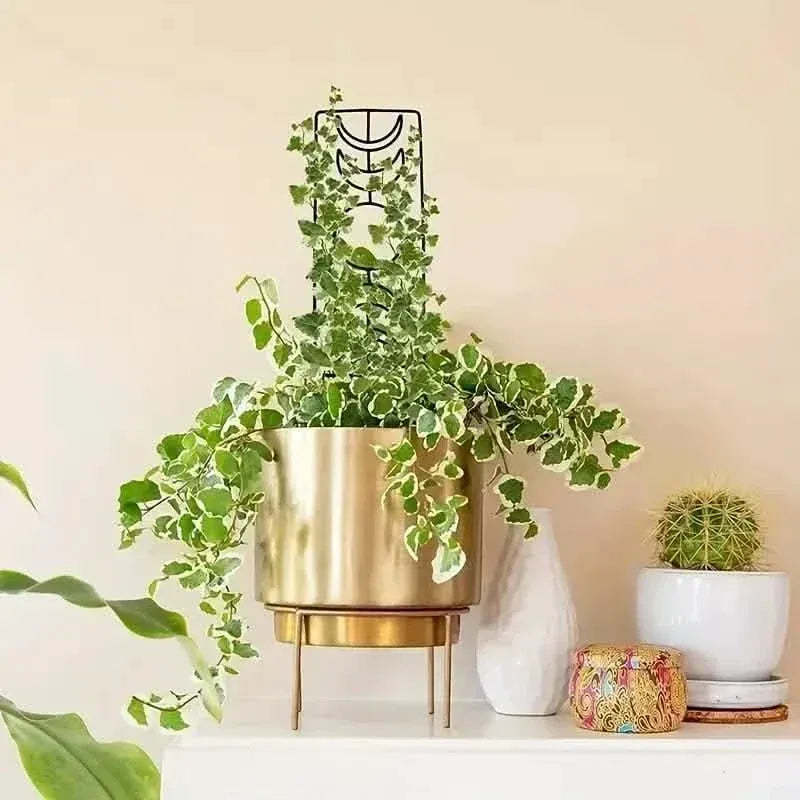 2-Pack: Metal Plant Trellis for Climbing Plants Indoor - A-1 Thread Vault