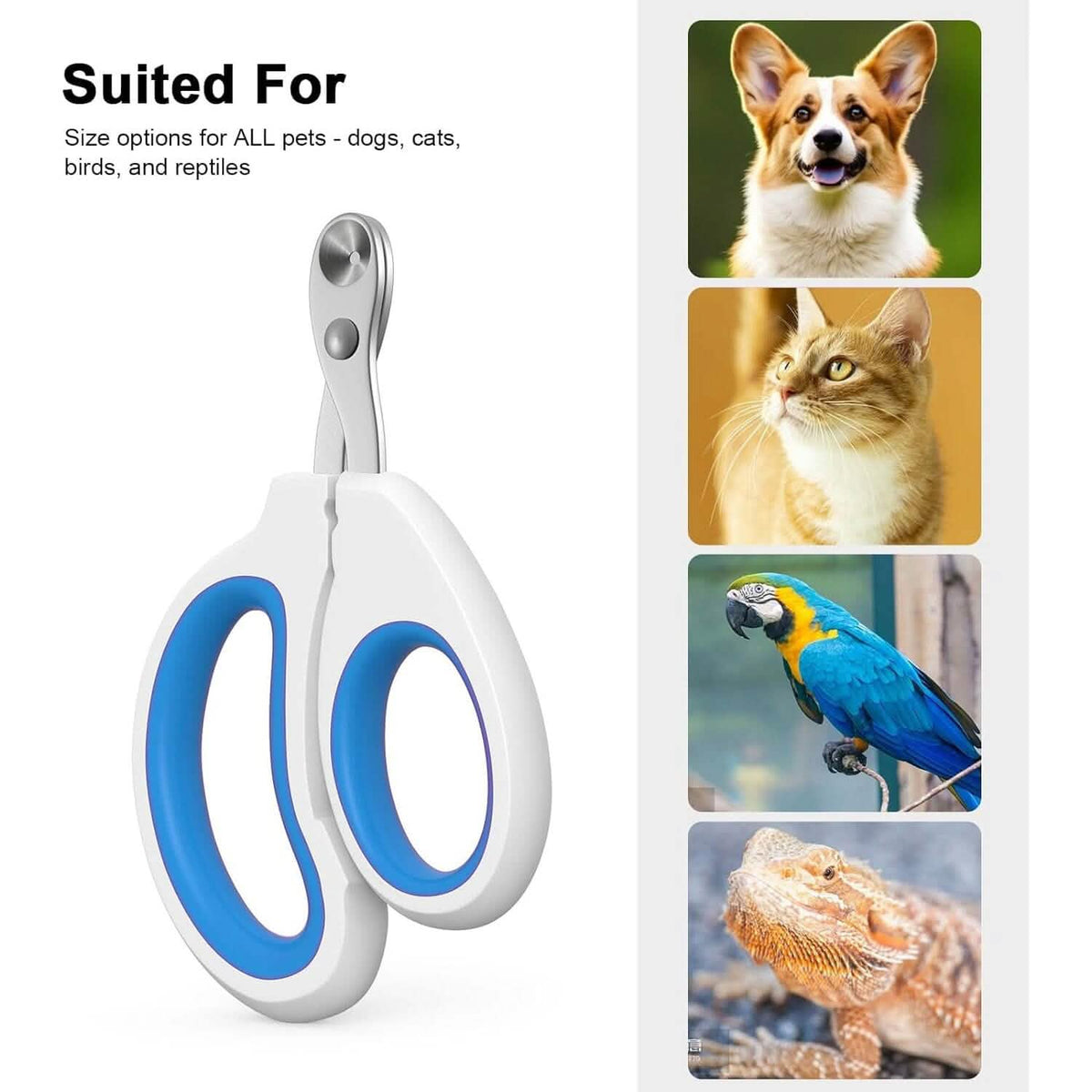 2-Piece: Easy-Grip Stainless Steel Cat Nail Clippers - A-1 Thread Vault