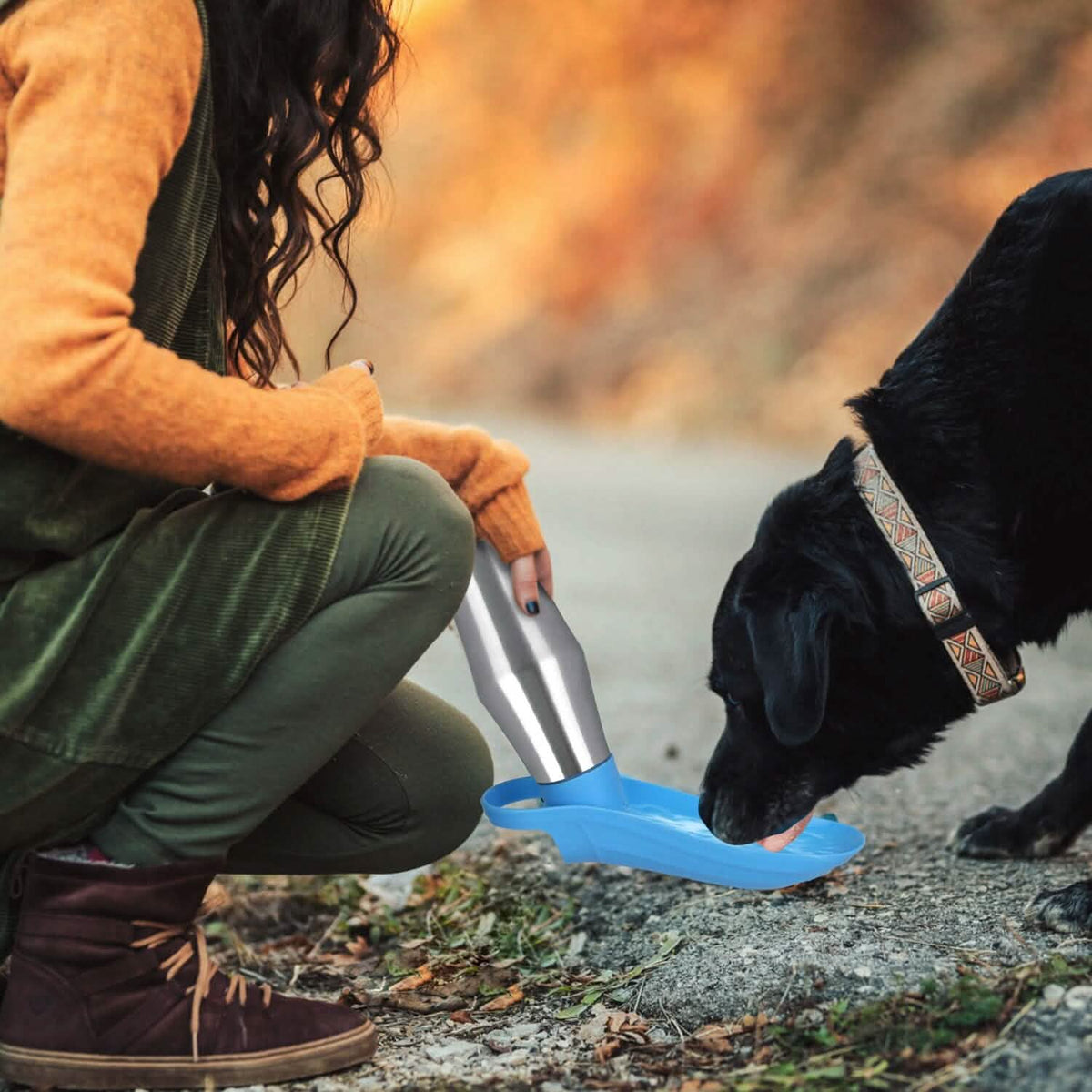 25oz Portable Dog Stainless Steel Water Dispenser Leak Proof Design - A-1 Thread Vault