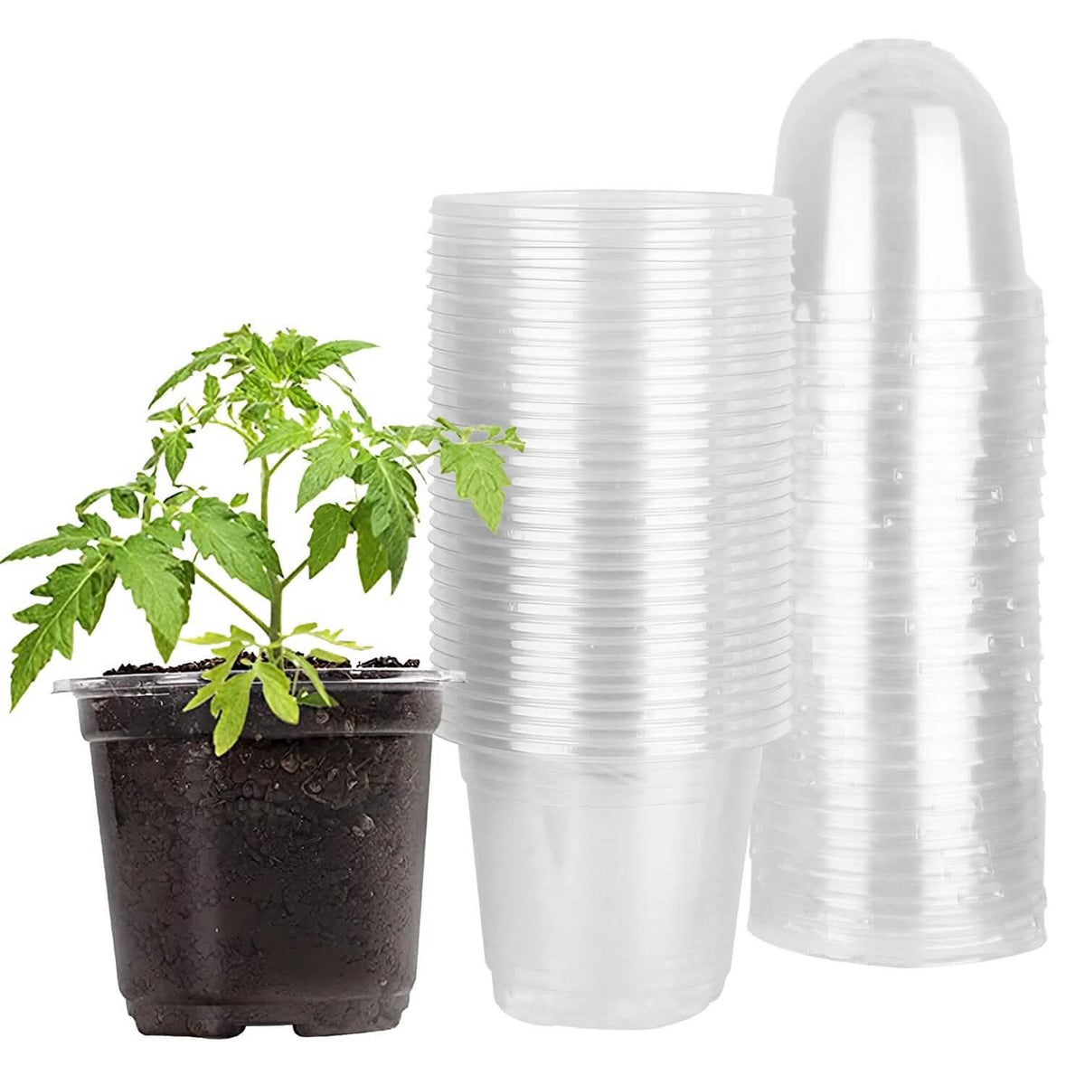 30-Pieces: Plant Nursery Pots PET Flower Seed Starting Pots Container with Dome Drainage Holes - A-1 Thread Vault