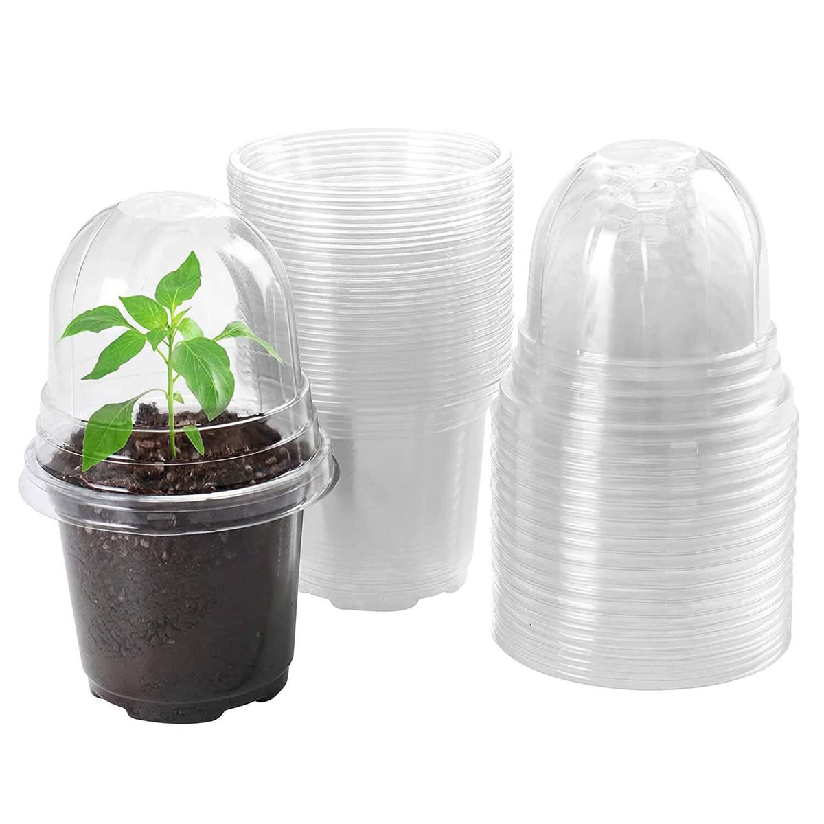 30-Pieces: Plant Nursery Pots PET Flower Seed Starting Pots Container with Dome Drainage Holes - A-1 Thread Vault