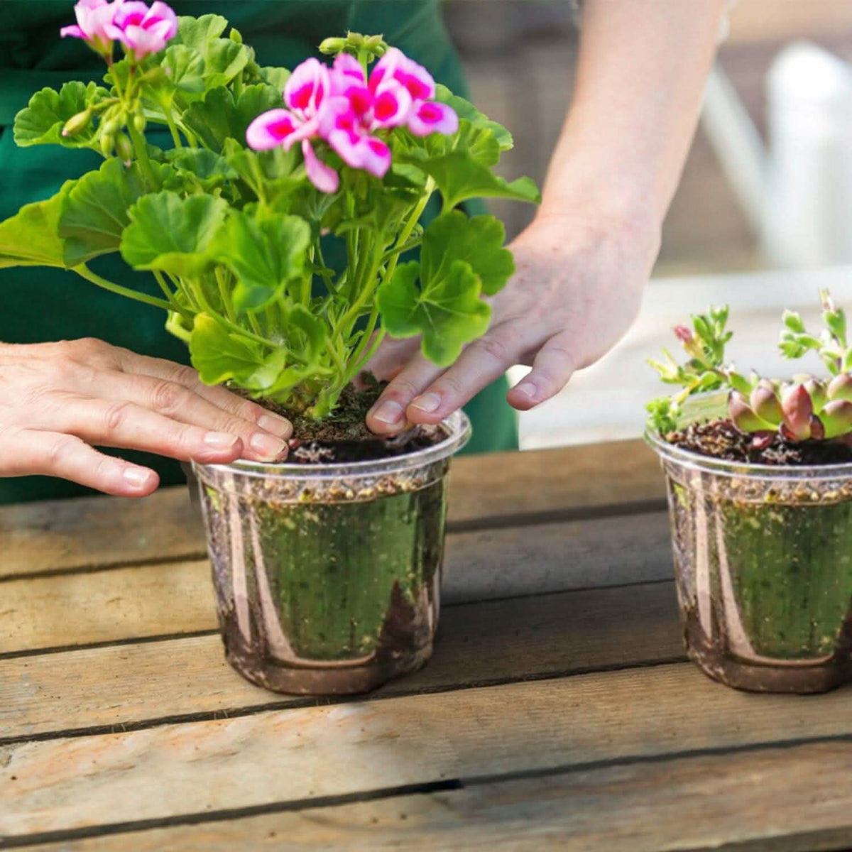 30-Pieces: Plant Nursery Pots PET Flower Seed Starting Pots Container with Dome Drainage Holes - A-1 Thread Vault