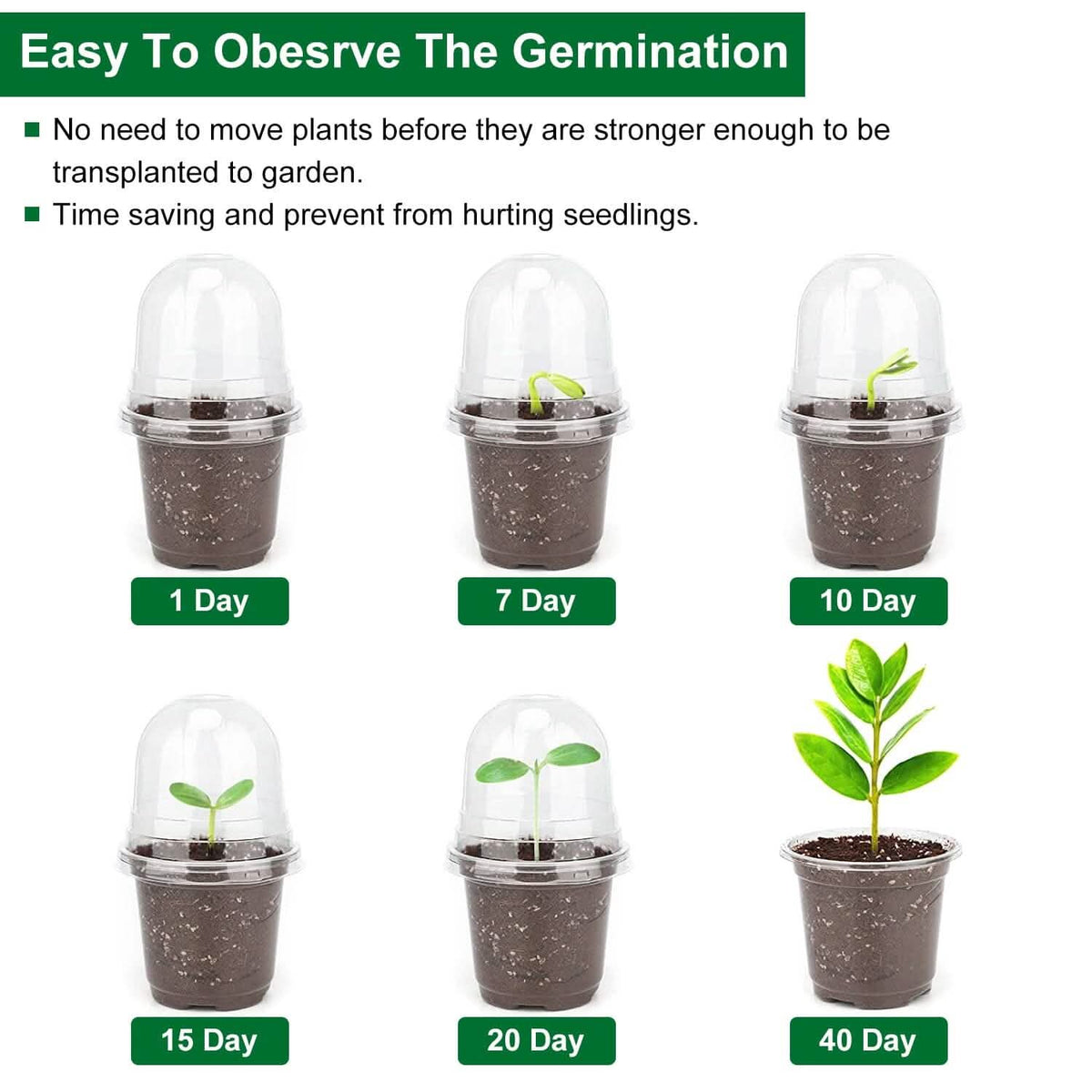 30-Pieces: Plant Nursery Pots PET Flower Seed Starting Pots Container with Dome Drainage Holes - A-1 Thread Vault