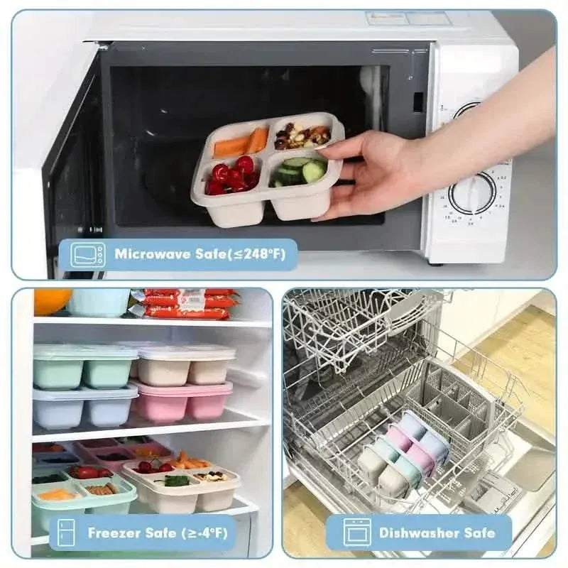 4-Pack: Snack Container With 4 Compartments, Divided Bento Lunch Box With Transparent Lids - A-1 Thread Vault