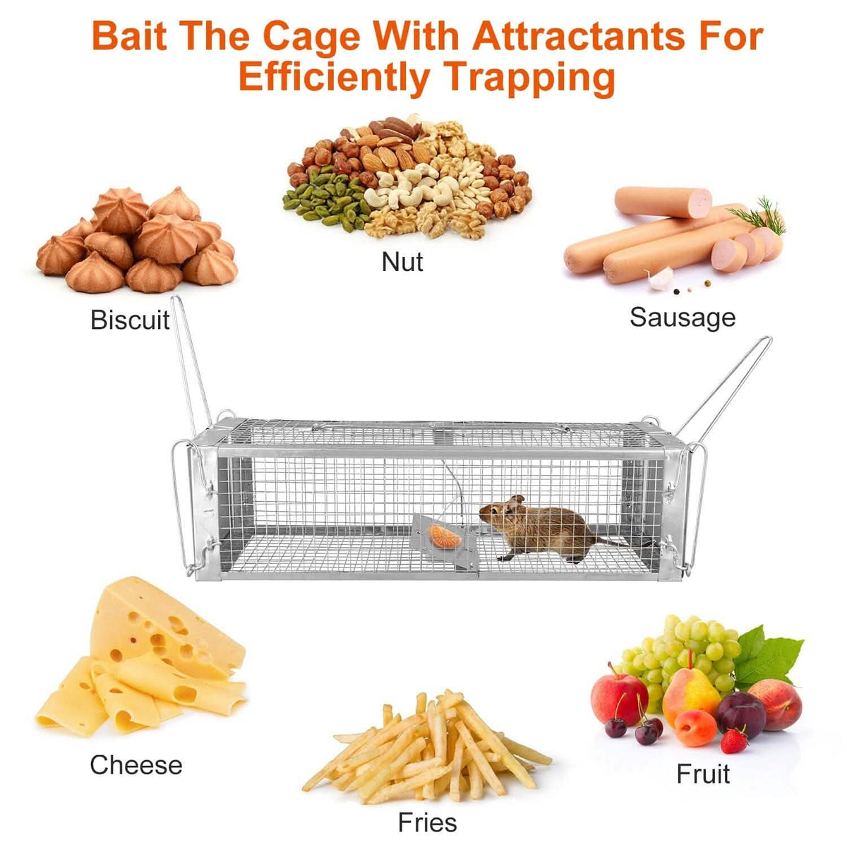Dual Door Rat Trap Cage Humane with 2 Detachable U Shape Rod - A-1 Thread Vault