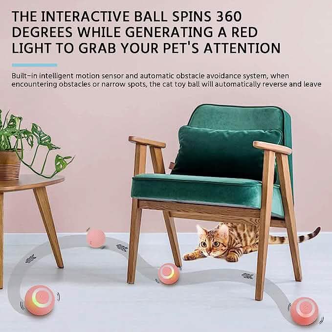 Found Notice Smart Interactive Cat Toy - A-1 Thread Vault