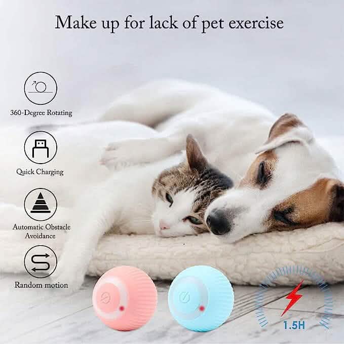 Found Notice Smart Interactive Cat Toy - A-1 Thread Vault