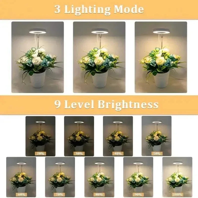 Full Spectrum LED Halo Plant Light With Stand Height Adjustable Auto Timer - A-1 Thread Vault