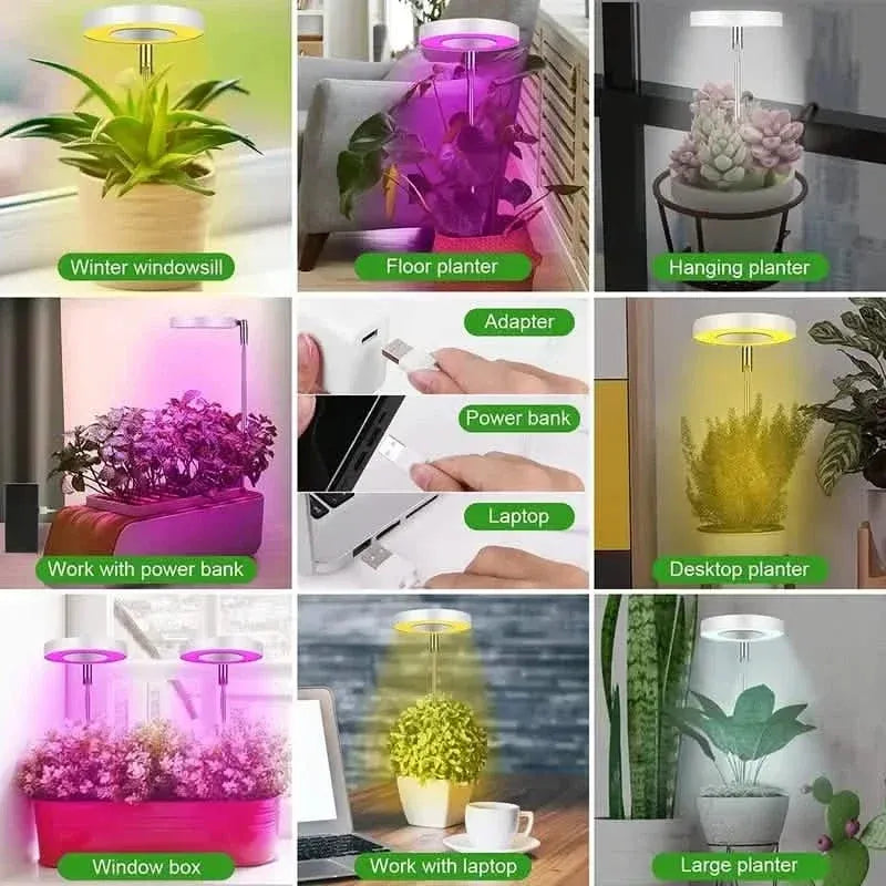 Full Spectrum LED Halo Plant Light With Stand Height Adjustable Auto Timer - A-1 Thread Vault