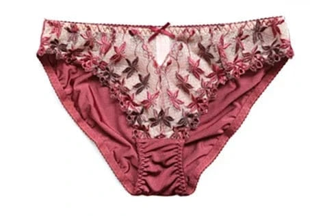 MOYISU Pure Desire Victoria Thin Bra Set Lace Mesh Red Beautiful Back Sex Underwear Hold Up with Underwire Transparent Bra Woman - A-1 Thread Vault