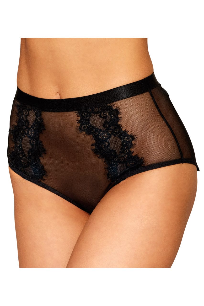 Sheer Lace Panty - A-1 Thread Vault