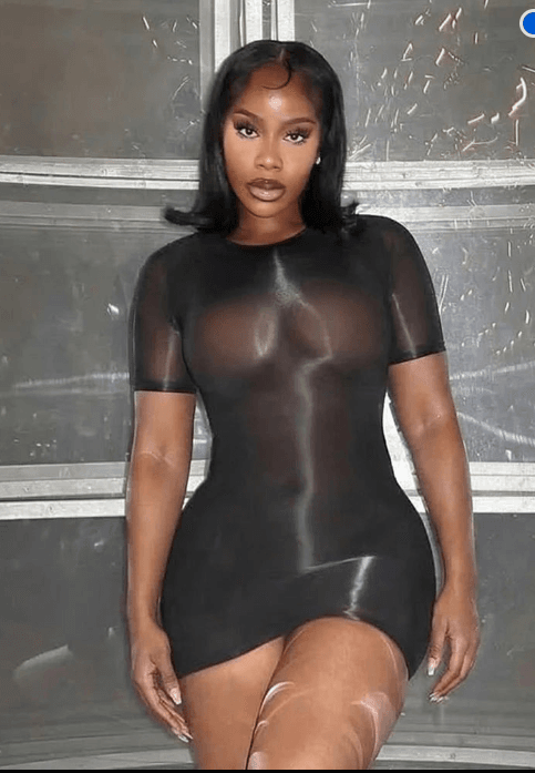 Sheer Mesh Short Sleeve Bodycon Mini Dress - A-1 Thread Vault