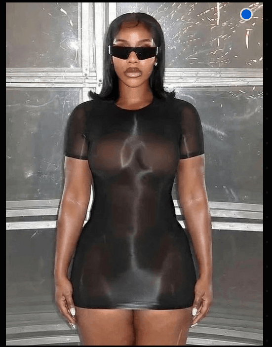 Sheer Mesh Short Sleeve Bodycon Mini Dress - A-1 Thread Vault