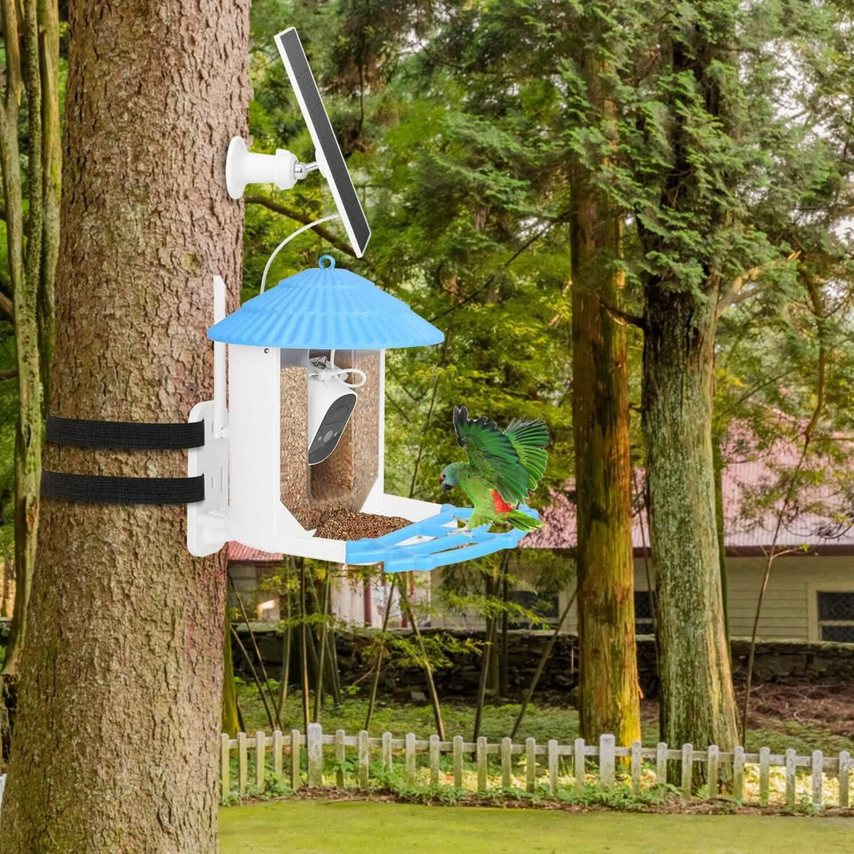 Solar Powered Smart Bird Feeder with PIR Motion AI Two-Way Audio - A-1 Thread Vault