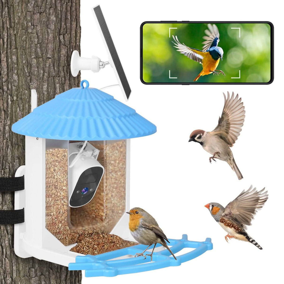 Solar Powered Smart Bird Feeder with PIR Motion AI Two-Way Audio - A-1 Thread Vault