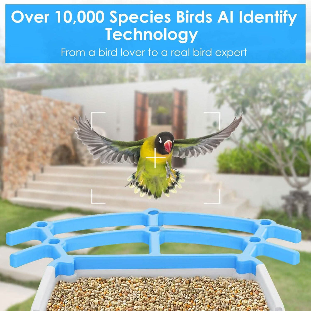Solar Powered Smart Bird Feeder with PIR Motion AI Two-Way Audio - A-1 Thread Vault