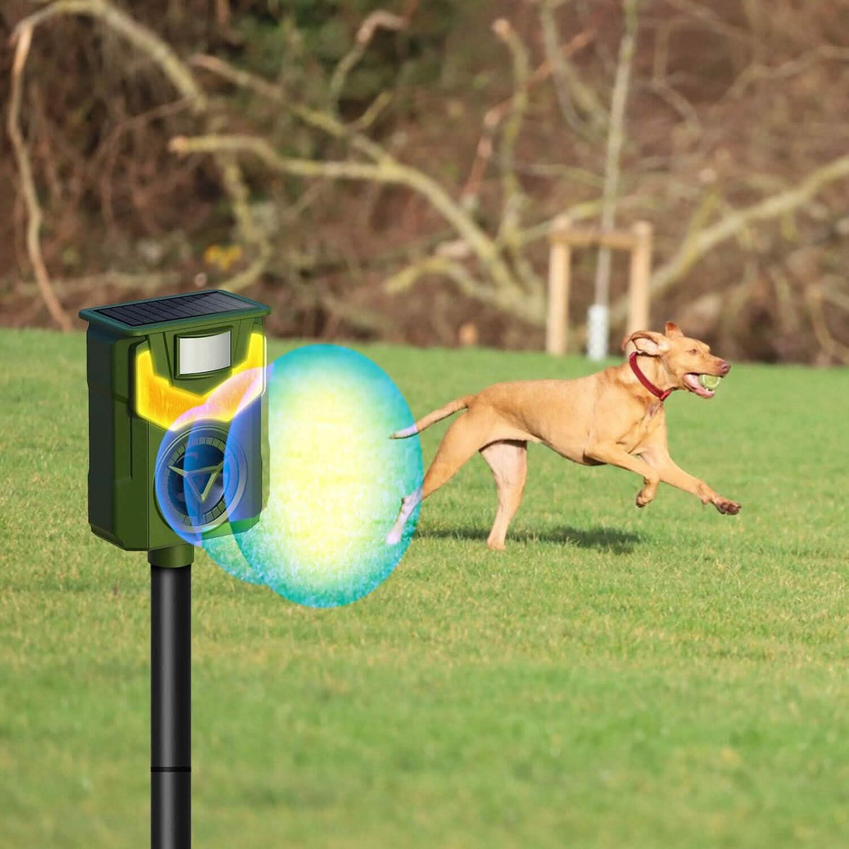 Solar Ultrasonic Animal Repeller with Flame Light USB Charge Motion Sensor - A-1 Thread Vault