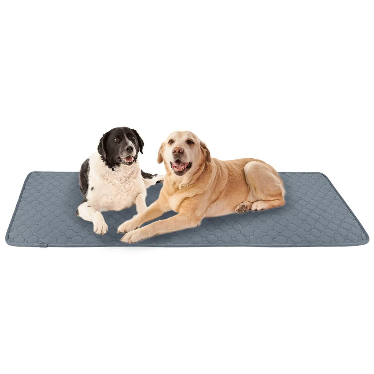 Washable Dog Pee Pad Reusable Puppy Potty Training Pads - A-1 Thread Vault