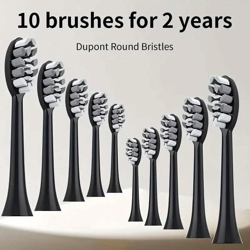 Waterproof USB Rechargeable Electric Toothbrush with 10 Replaceable Toothbrush Heads, Charger and Case - A-1 Thread Vault