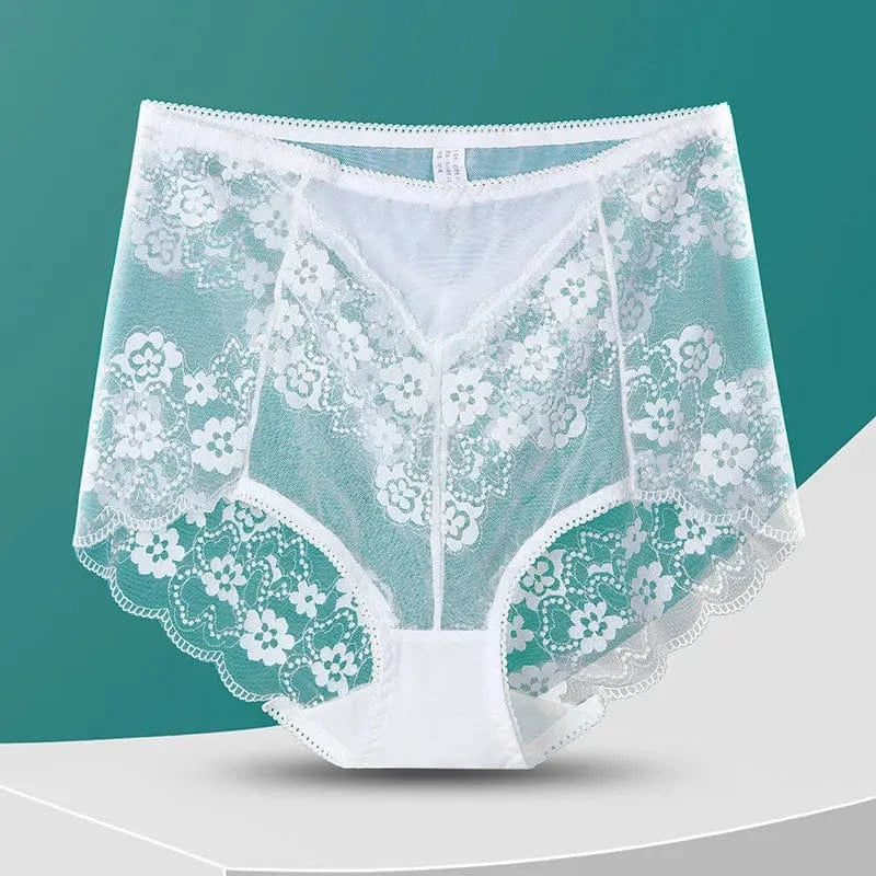 Women High Waist Plus Size Panties Sexy Lace Mesh Floral Transparent Briefs Fashion Underpants Lingerie Seamless Underwear - A-1 Thread Vault