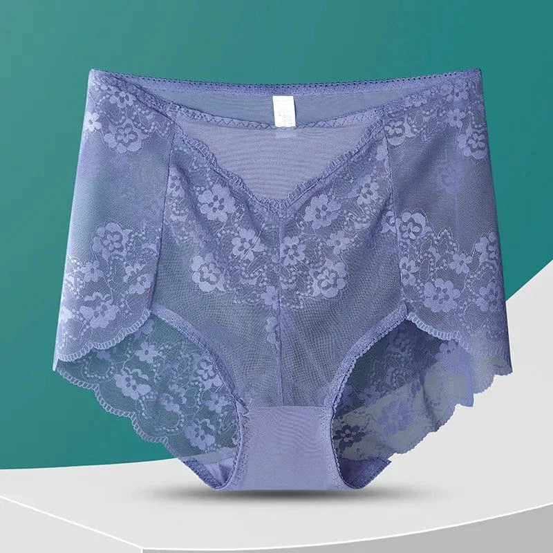Women High Waist Plus Size Panties Sexy Lace Mesh Floral Transparent Briefs Fashion Underpants Lingerie Seamless Underwear - A-1 Thread Vault