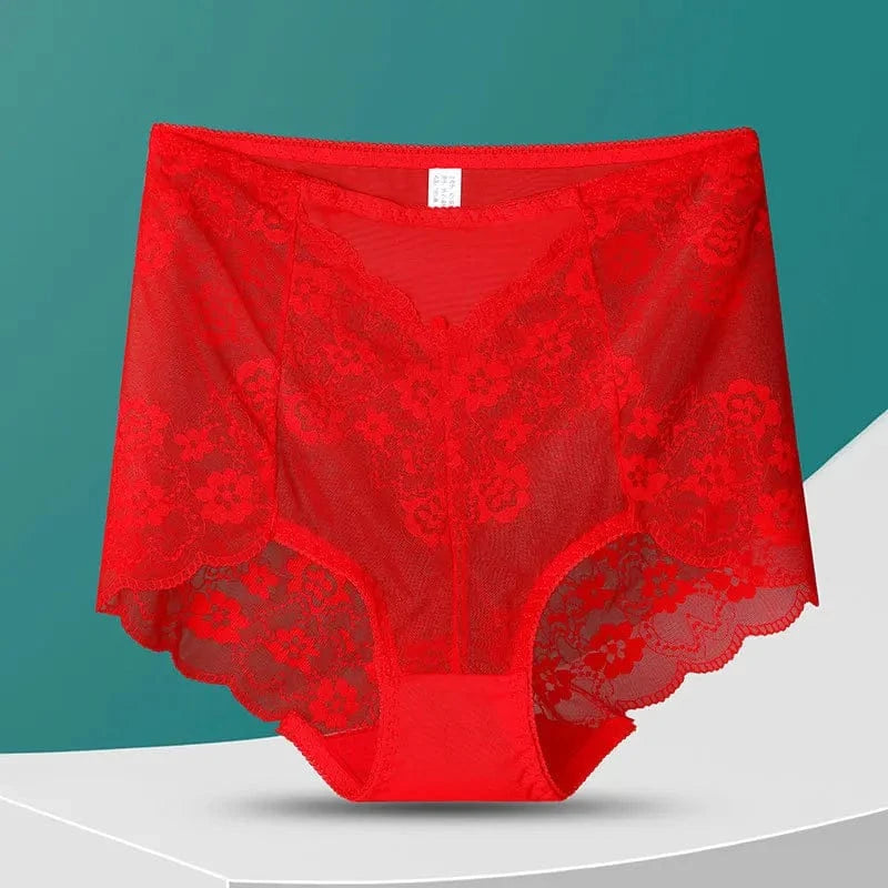 Women High Waist Plus Size Panties Sexy Lace Mesh Floral Transparent Briefs Fashion Underpants Lingerie Seamless Underwear - A-1 Thread Vault