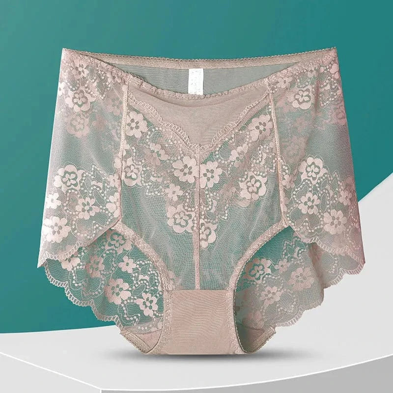 Women High Waist Plus Size Panties Sexy Lace Mesh Floral Transparent Briefs Fashion Underpants Lingerie Seamless Underwear - A-1 Thread Vault