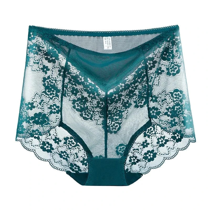 Women High Waist Plus Size Panties Sexy Lace Mesh Floral Transparent Briefs Fashion Underpants Lingerie Seamless Underwear - A-1 Thread Vault