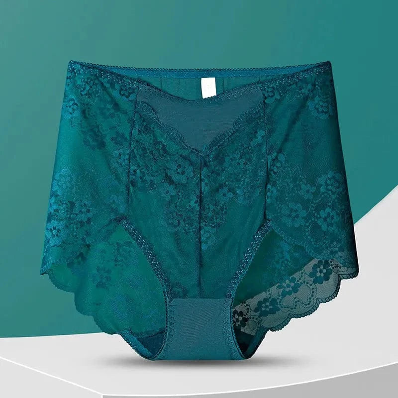 Women High Waist Plus Size Panties Sexy Lace Mesh Floral Transparent Briefs Fashion Underpants Lingerie Seamless Underwear - A-1 Thread Vault