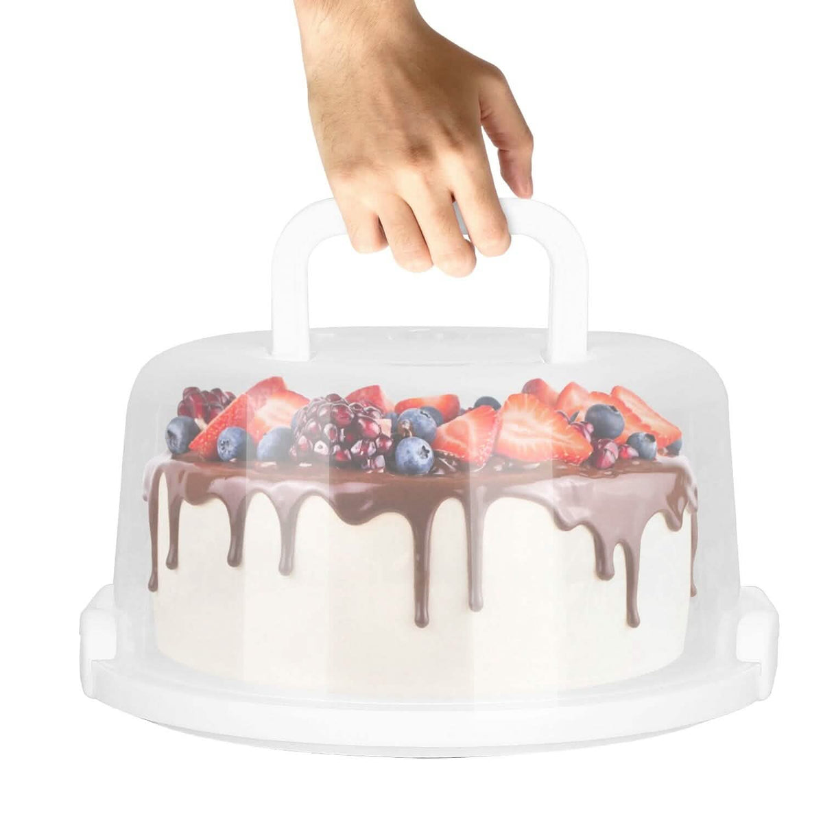 10" Cake Storage Container with Handle Plastic Cake Box - A-1 Thread Vault