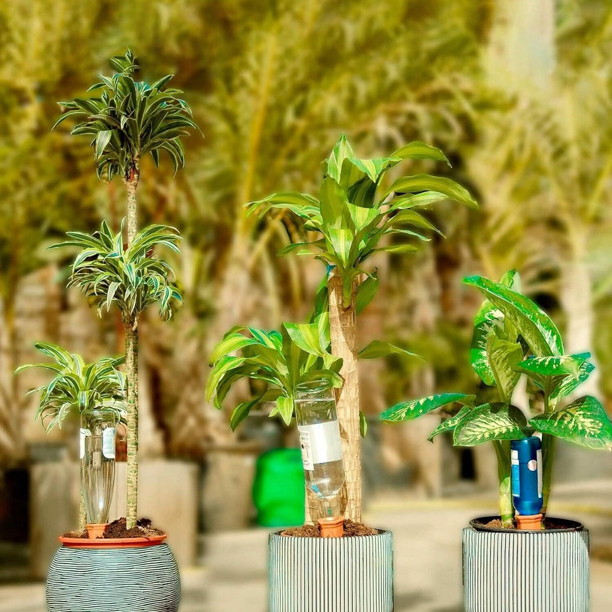 10-Pack: Spikes Teracotta Plant Watering Device - A-1 Thread Vault