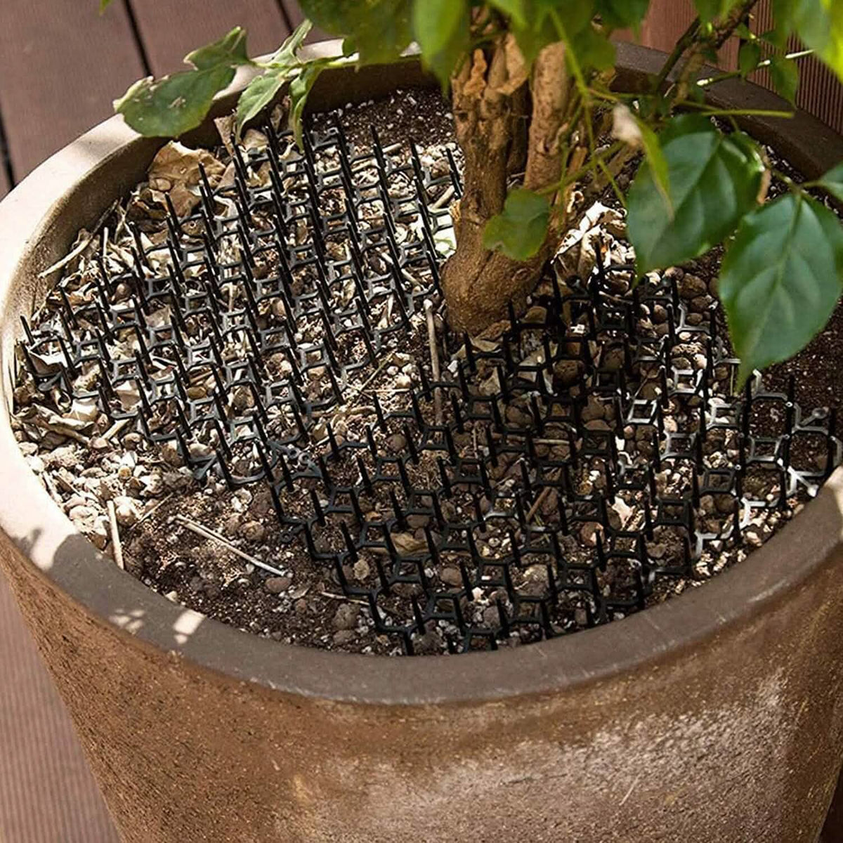 10-Piece: Cat Repellent Scat Mat with Spikes - A-1 Thread Vault