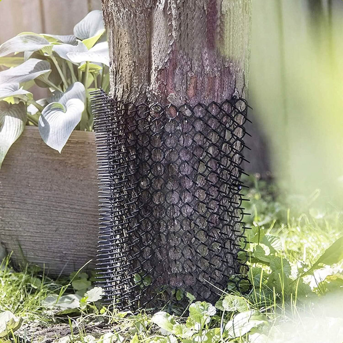 10-Piece: Cat Repellent Scat Mat with Spikes - A-1 Thread Vault