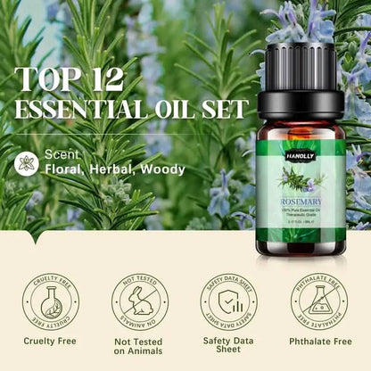 12-Pack: Aromatherapy Essential Oil Kit for Diffuser - A-1 Thread Vault