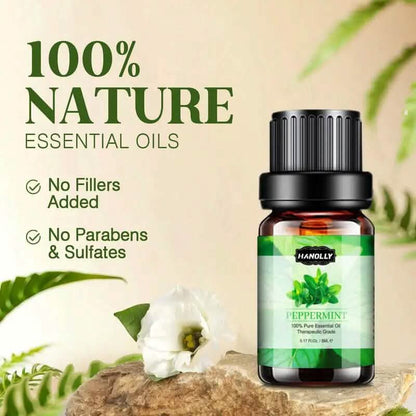 12-Pack: Aromatherapy Essential Oil Kit for Diffuser - A-1 Thread Vault