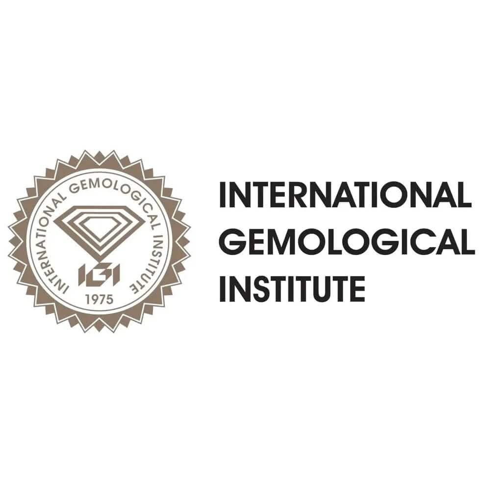 14K Solid White Gold 10.00ct Lab-Grown Round IGI Certified Diamond Stud Earrings - A-1 Thread Vault