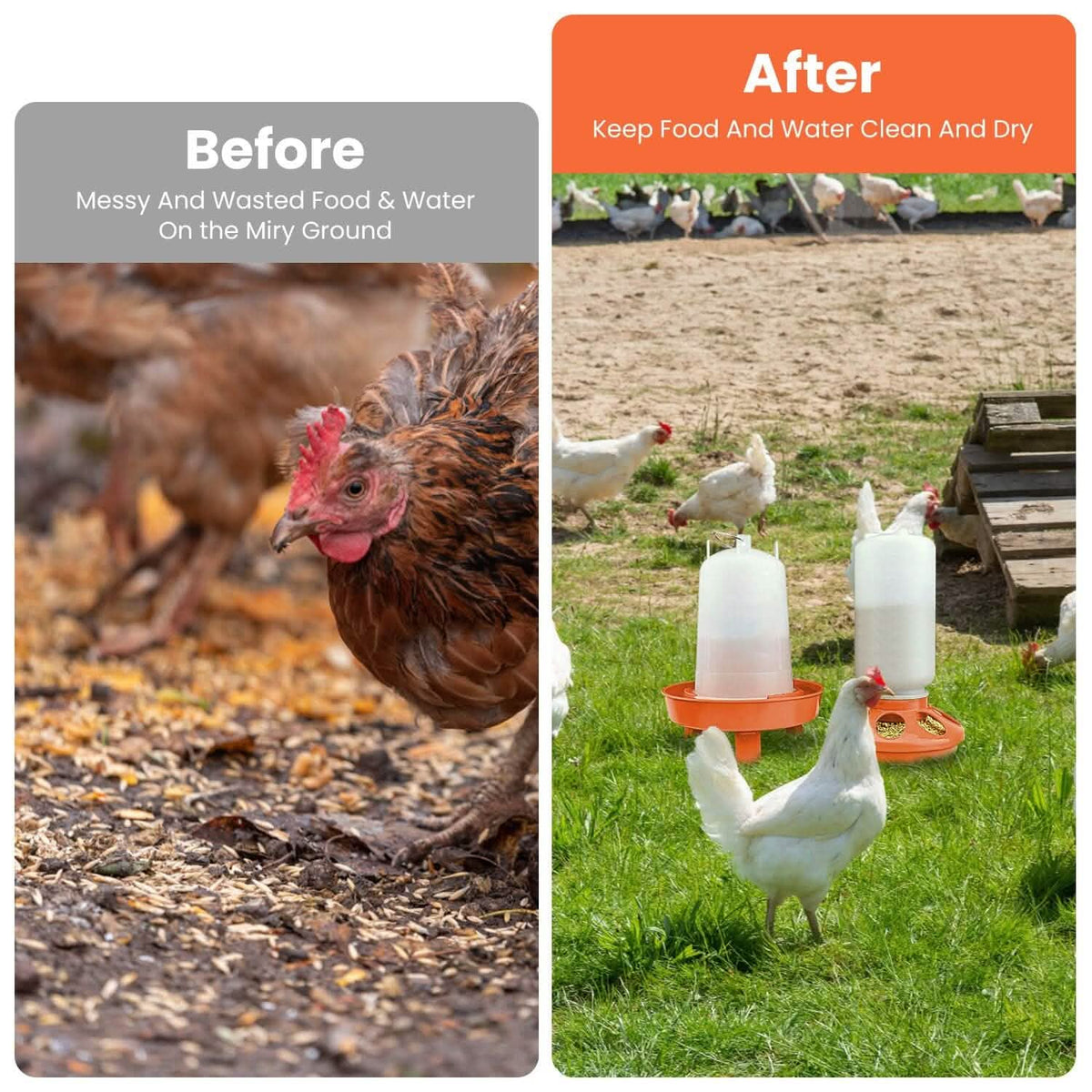 1.5L Chicken Feeder Adjustable Height Waterer Set - A-1 Thread Vault