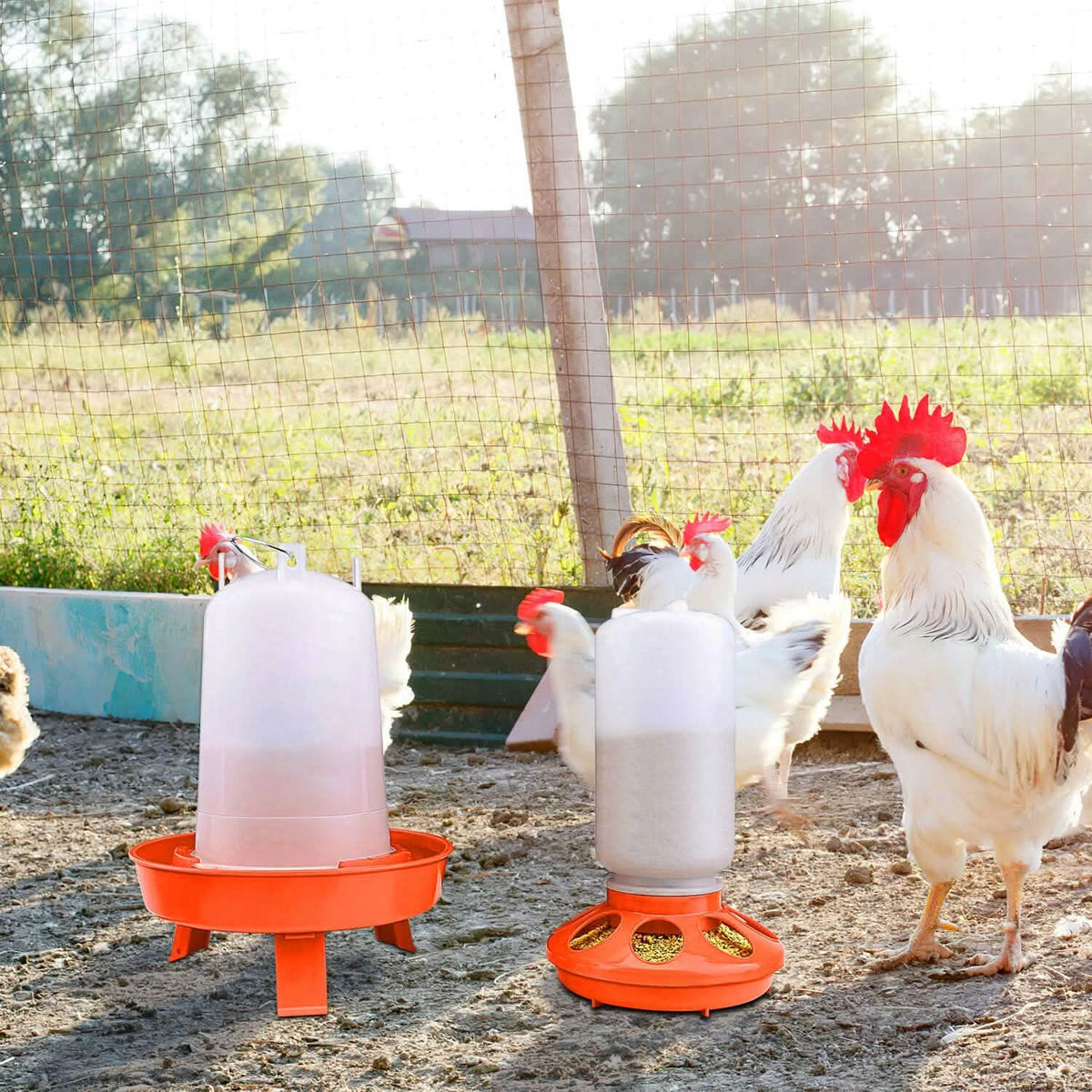 1.5L Chicken Feeder Adjustable Height Waterer Set - A-1 Thread Vault