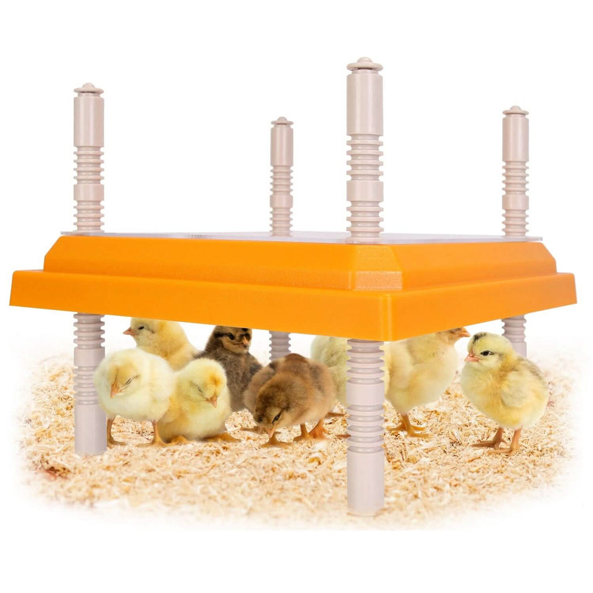 15W Chicken Brooder Heater with Adjustable Height Angle Max 131℉ - A-1 Thread Vault