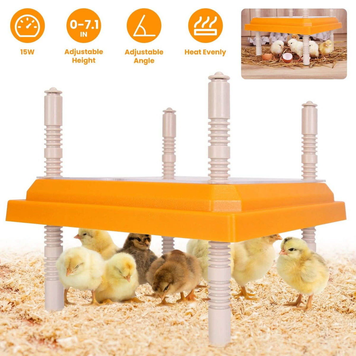 15W Chicken Brooder Heater with Adjustable Height Angle Max 131℉ - A-1 Thread Vault