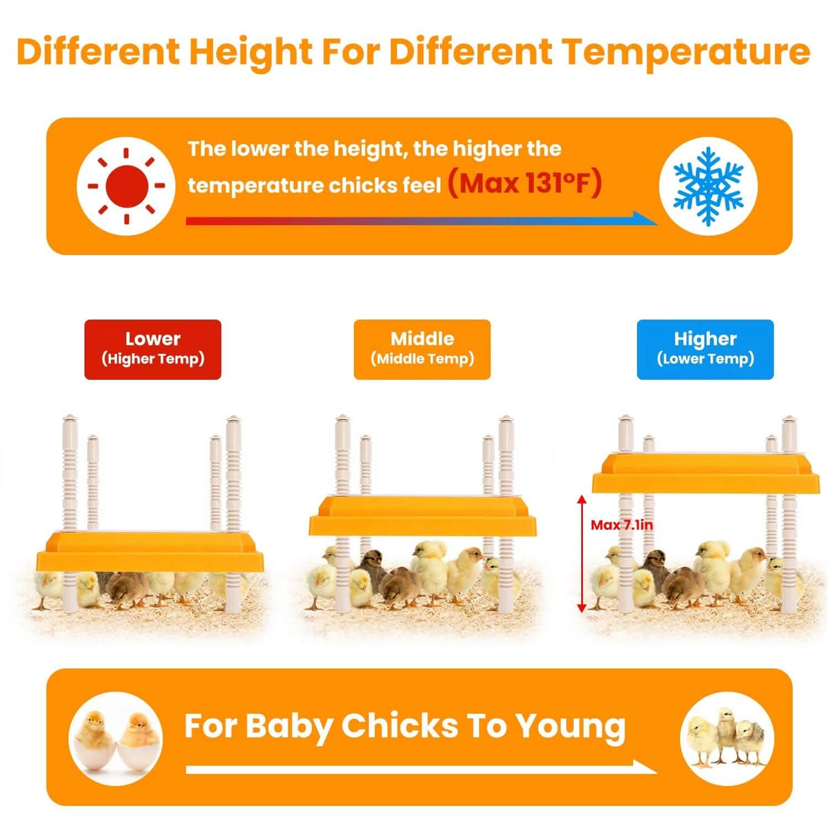 15W Chicken Brooder Heater with Adjustable Height Angle Max 131℉ - A-1 Thread Vault