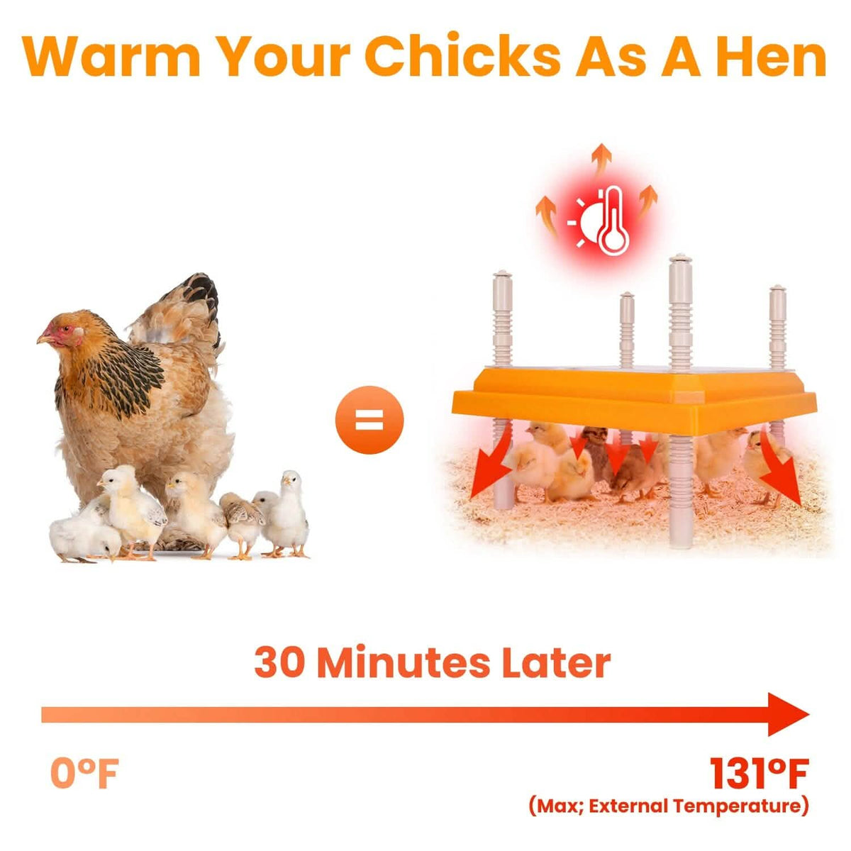 15W Chicken Brooder Heater with Adjustable Height Angle Max 131℉ - A-1 Thread Vault