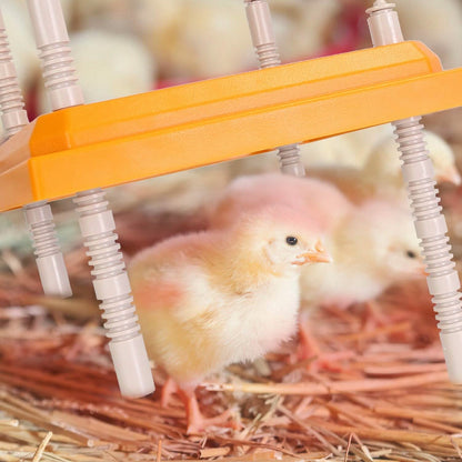 15W Chicken Brooder Heater with Adjustable Height Angle Max 131℉ - A-1 Thread Vault
